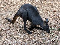 IMG 4760