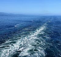 IMG 5417