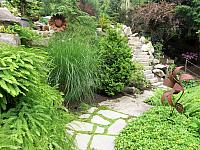 IMG 5539