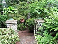 IMG 5545