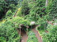 IMG 5559