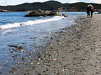 IMG 5676