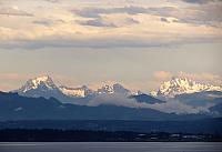 IMG 5754