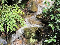 IMG 5977