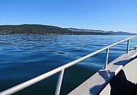 IMG 5893
