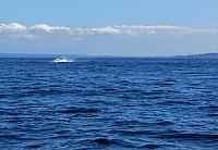 IMG 5900