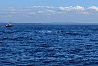 IMG 5902