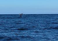 IMG 5905