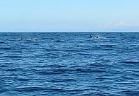 IMG 5909