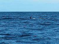 IMG 5915