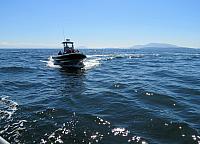 IMG 5929