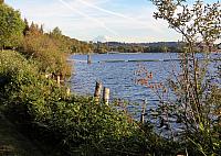 IMG 6073