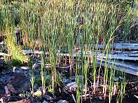 IMG 6076