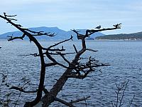 IMG 6188