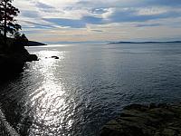 IMG 6195