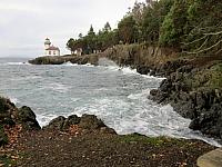 IMG 6235