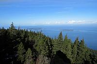 IMG 6295