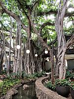 201701 - Hawaii