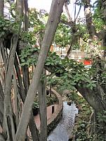IMG 6415