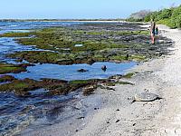 IMG 6504