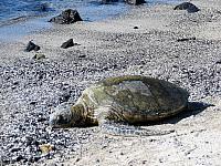 IMG 6508