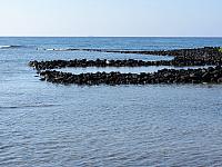 IMG 6522