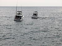 IMG 6575