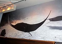 IMG 6579