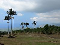 IMG 6620