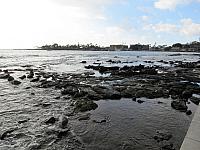 IMG 6640