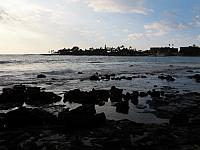 IMG 6642
