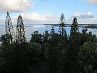 IMG 6711