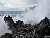 IMG 6880