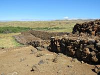 IMG 6909