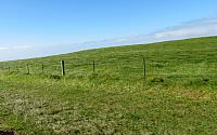 IMG 6931