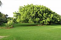 IMG 6933