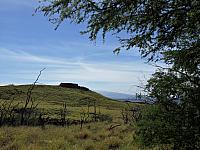 IMG 6959