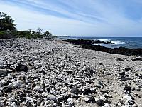 IMG 6968