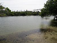 IMG 6982