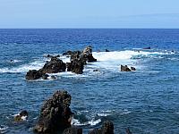 IMG 6996