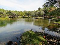 IMG 7002