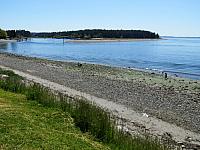 IMG 7355