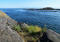 IMG 7384