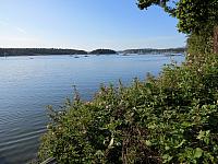 IMG 7391