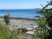 IMG 7406