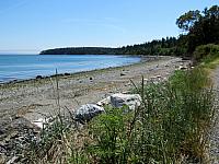 IMG 7411