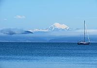 IMG 7426