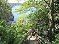 IMG 7429