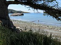 IMG 7431