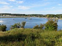 IMG 7441